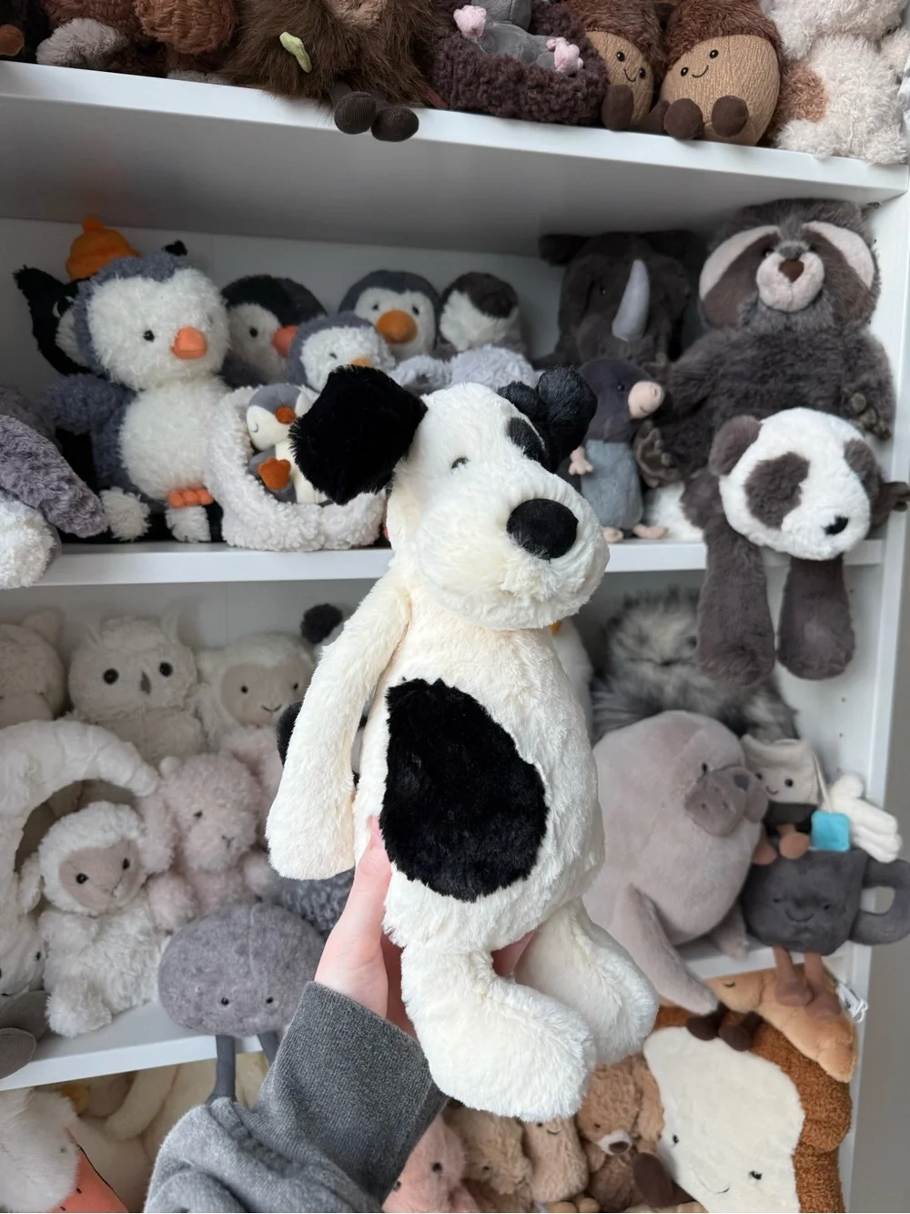 NWT Jellycat Bashful Puppy